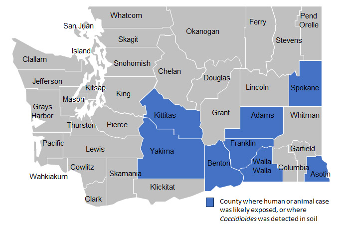 A map of Washington state showing counties where human or animal cases were likely exposed to Coccidioides, or where Coccidioides was detected in the soil. Highlighted counties include: Kittitas, Yakima, Benton, Franklin, Adams, Walla Walla, Asotin, and Spokane