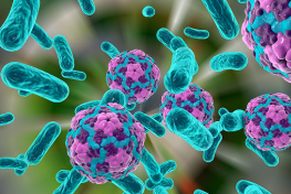 Image of hep A virus from Food and Drug Administration