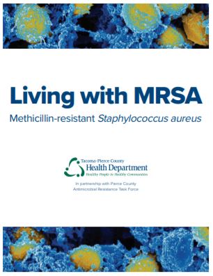 MRSA Bacteria photo